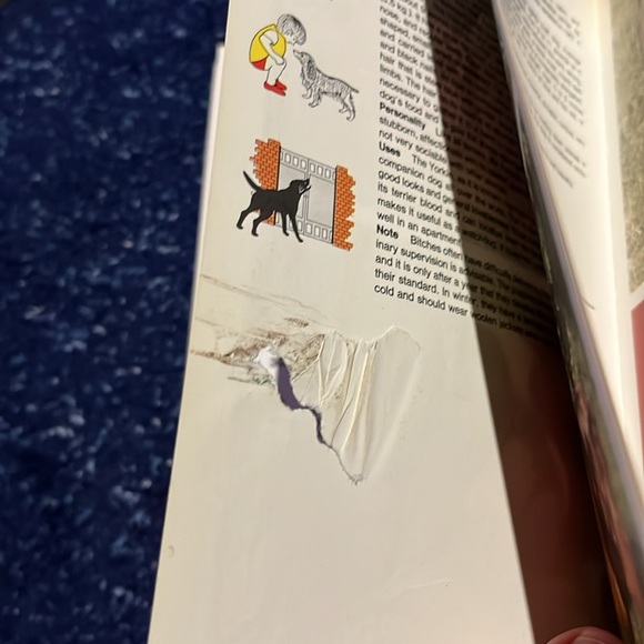 Identity dogs 320 Breeds - Picture 13 of 13